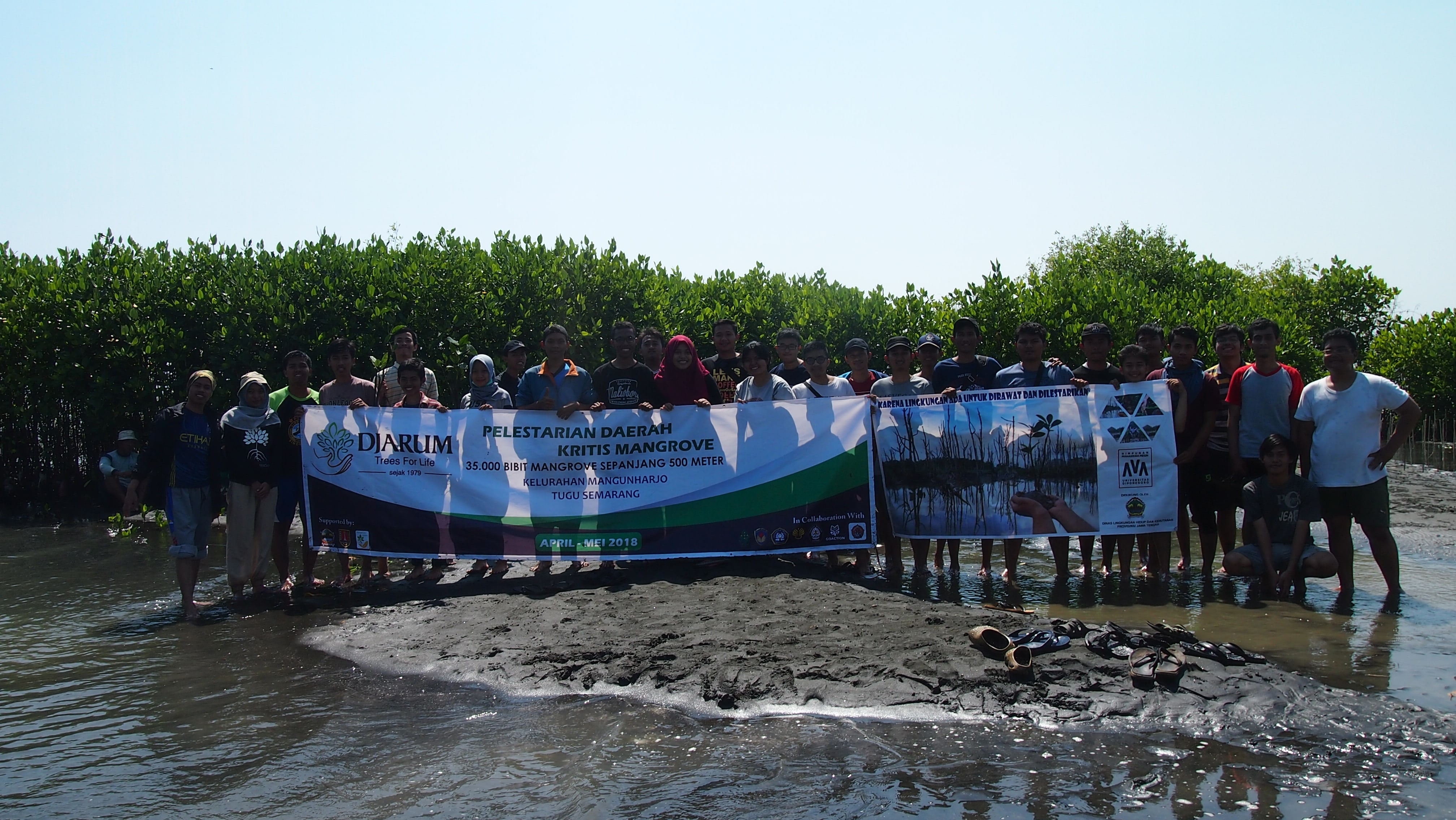 Planting 1000 Mangroves for Mechanical Engineering Students Undip